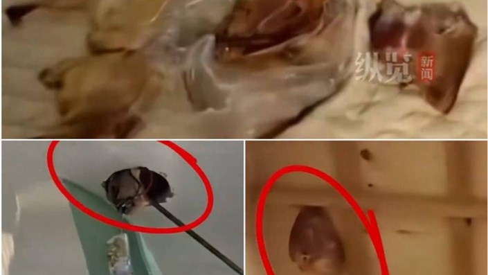 Đây chắc chắn là ác mộng của mọi người mua nhà - 1