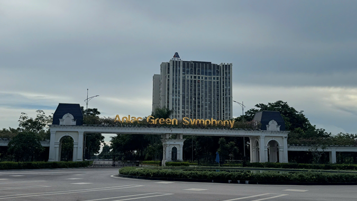 Khi biệt thự sang trọng biến thành "Biển băng rôn đỏ":  Câu chuyện từ từ An Lạc Green Symphony và những dự án “chậm sổ đỏ”  - 1