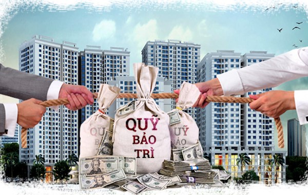 Chuyện quỹ bảo trì chung cư: Tăng phạt có thực sự lấy lại được tiền cho cư dân? - 1