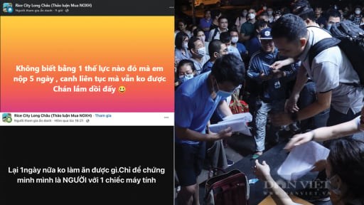 💻 Từ xếp hàng đêm đến “tắc đường online”: Hành trình nộp hồ sơ nhà ở xã hội vẫn không dễ dàng! - 1