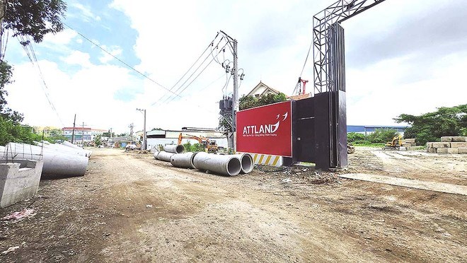 TP.HCM dẹp “bán lúa non”: người mua được bảo vệ, thị trường cũng có cơ hội thở  - 1