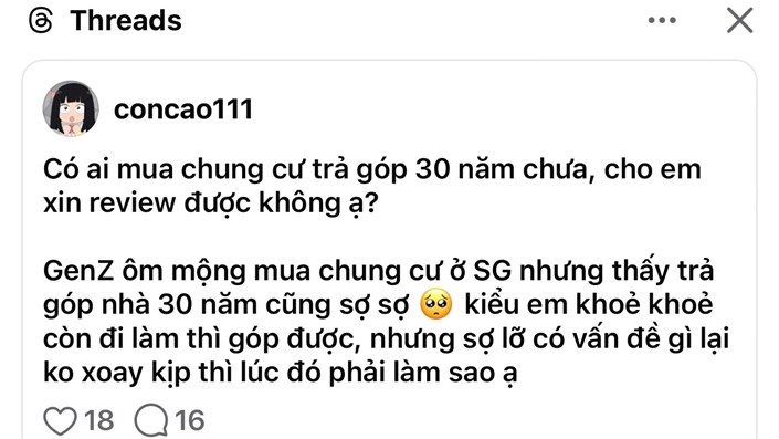 Tấm vé an cư của Gen Z: Khi ngôi nhà đầu đời đợi chờ nửa đời người - 1