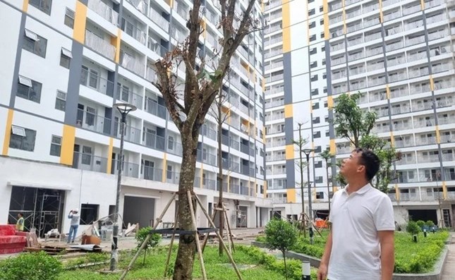 ‘Sốt’ căn hộ ở Hà Nội: Hàng nghìn hồ sơ online đổ về 1 dự án chưa công bố giá bán - 1