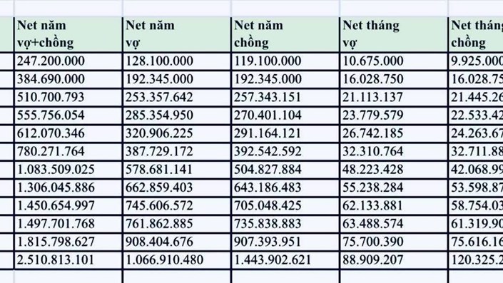 Lộ trình 12 năm từ lương 9 triệu lên tài sản 8 tỷ: Làm thuê bao lâu mới kiếm được 1 tỷ/năm để còn mua nhà như họ? - 1