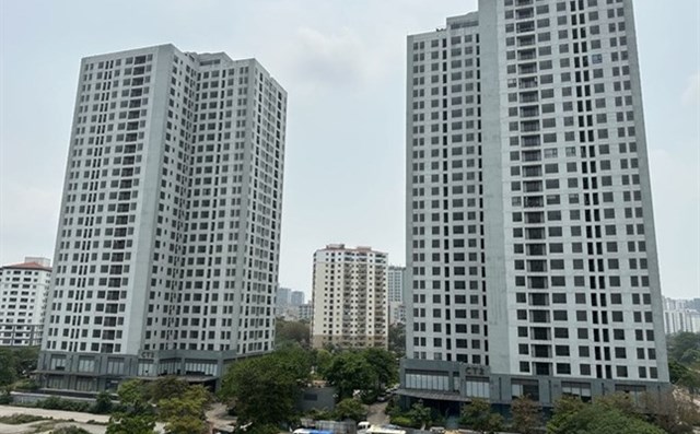 Tại sao nhà đất bỏ hoang khắp nơi nhưng có những người trẻ làm cả đời lại không mua được nhà? - 1