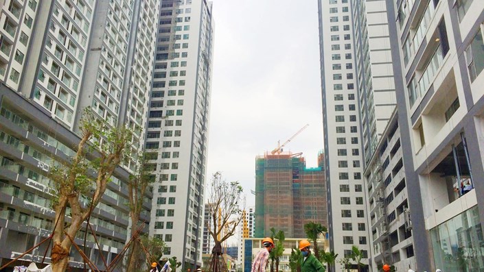 Mầm đá là món ăn trong truyền thuyết, nhưng "căn hộ giá bình dân" ở Hà Nội bây giờ mới chính là món quà của trí tưởng tượng - 1