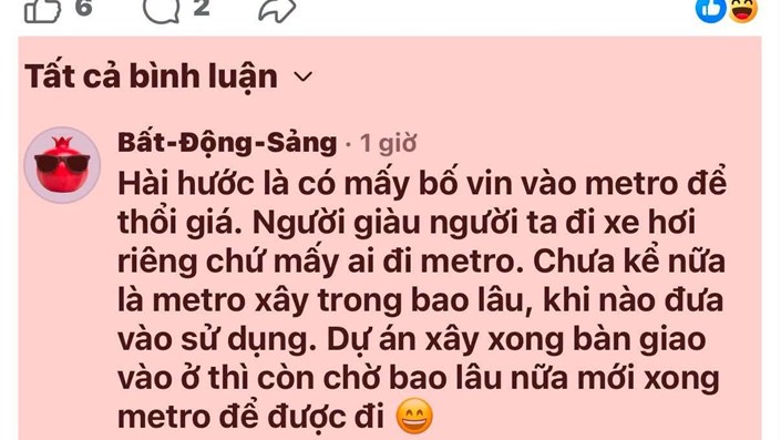 Người giàu đi xe sang chứ ai đi Metro: Môi giới nhà phán chuẩn hay ngây thơ có đào tạo? - 1