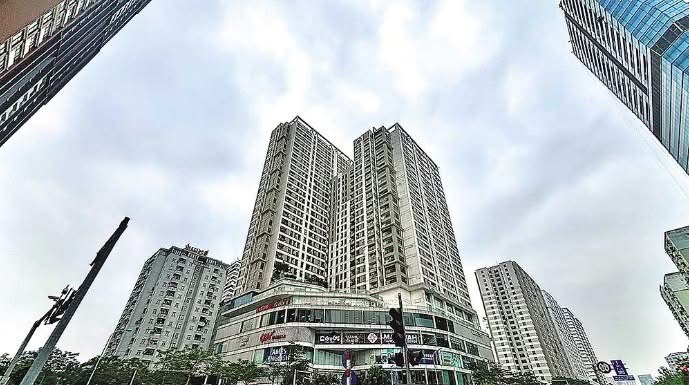Chung cư trung cấp – loài đang trên đà... tuyệt chủng - 1