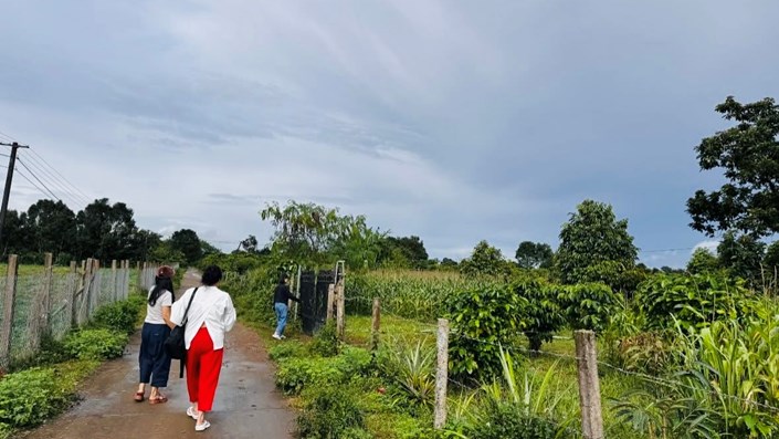 Em gái tôi đi xem đất với bạn trai, về có bầu, nhưng không phải bầu bất động sản  - 1