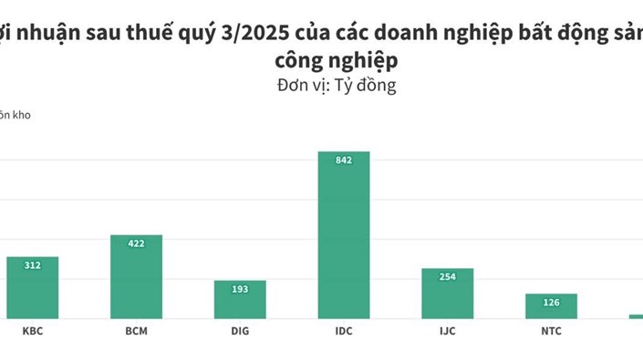 Ông lớn bất động sản khu công nghiệp đua nhau báo lãi “khủng”: mùa gặt tiền vẫn xanh dù thị trường ngoài kia còn đang… thở oxy - 1