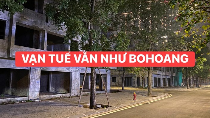 Sago Palm Garden: Chưa thấy nhiều người về ở hay hoàn thiện Chỉ vì 4 lý do sau.   - 1