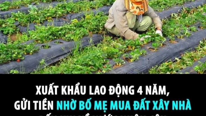 Xuất khẩu lao động 4 năm, gửi tiền nhờ bố mẹ mua đất xây nhà đến khi về nước nhận câu: "Nhà nào của m?" - 1