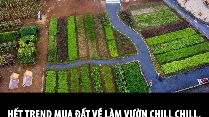 ĐẤT VƯỜN GIẢM GIÁ SÂU SAU CƠN SỐT "BỎ PHỐ VỀ VƯỜN"  - 1