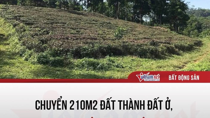 BA VÌ: MỘT NGƯỜI DÂN ĐÃ HOÀN TẤT THỦ TỤC CHUYỂN ĐỔI HƠN 210M2 ĐẤT TRỒNG CÂY LÂU NĂM THÀNH ĐẤT Ở, NHƯNG SỐ TIỀN SỬ DỤNG ĐẤT PHẢI ĐÓNG QUÁ "KHỔNG LỒ" NÊN ĐÃ "QUAY XE" 🥺  - 1