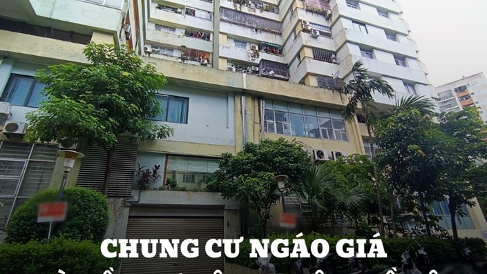 Chung cư "ngáo giá", đất HN "ngáo giá". Nhà đầu tư giờ đi đâu, về đâu? - 1