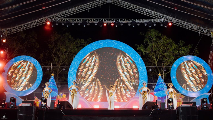 Âm nhạc kết nối cộng đồng trong đêm Giáng sinh ở ROX Living Aquamarine Diễn Châu - 1