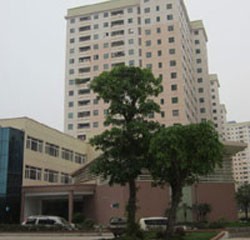 Chuyện của những gia đình "nghèo sang chảnh" giữa lòng Hà Nội! 🏙️❌ - 1