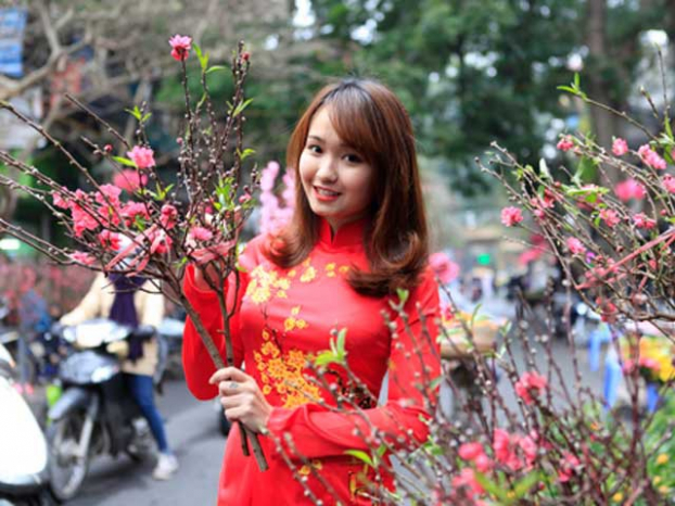 Top 10 loại hoa cắm trong ng&agrave;y Tết của người miền Bắc, số 1, 2 nh&agrave; ai cũng trưng b&agrave;y 0