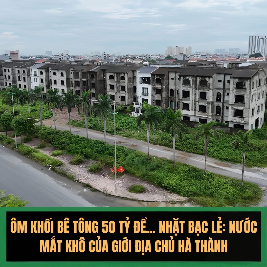Bi kịch của những "cục vàng" bất động: Khi dinh thự 50 tủ cúi đầu làm kho hàng - 1