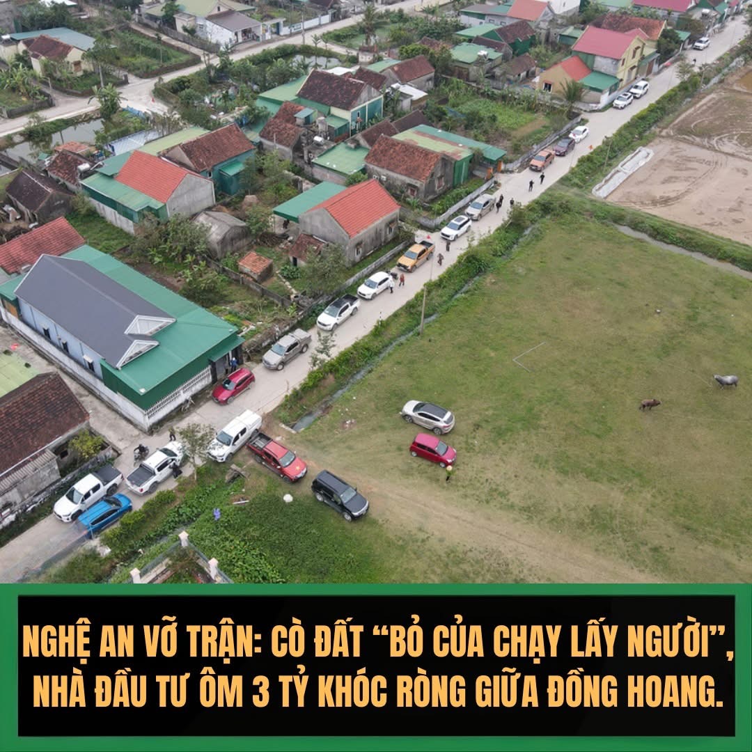 Tháo chạy toán loạn khỏi Đại Huệ - Nghệ An: Hồi kết đắng cho canh bạc "ăn theo" quy hoạch trên giấy - 1