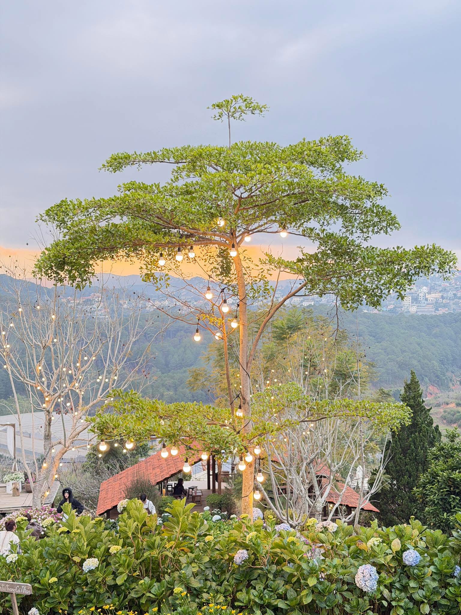 2026 – Tín dụng, thị trường bất động sản: Luật chơi và xu hướng - 1