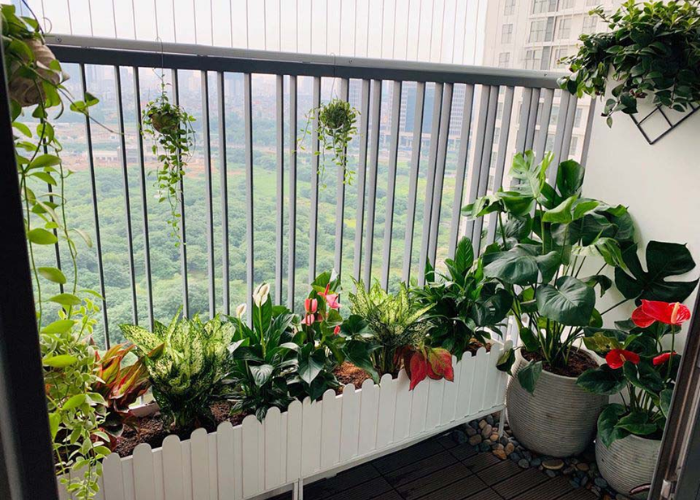 Ban công xanh mát trên tầng cao, nhìn thì chill mà dưới đất hơi run - 1