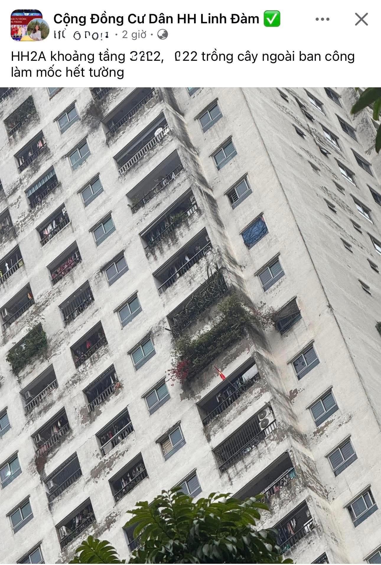 Người ta gọi vui đây là “Cửu Long Thành Trại bản Việt”, mà nhìn cái ảnh ở khu Linh Đàm thì đúng là cũng có lý do để gọi như vậy thật! - 1