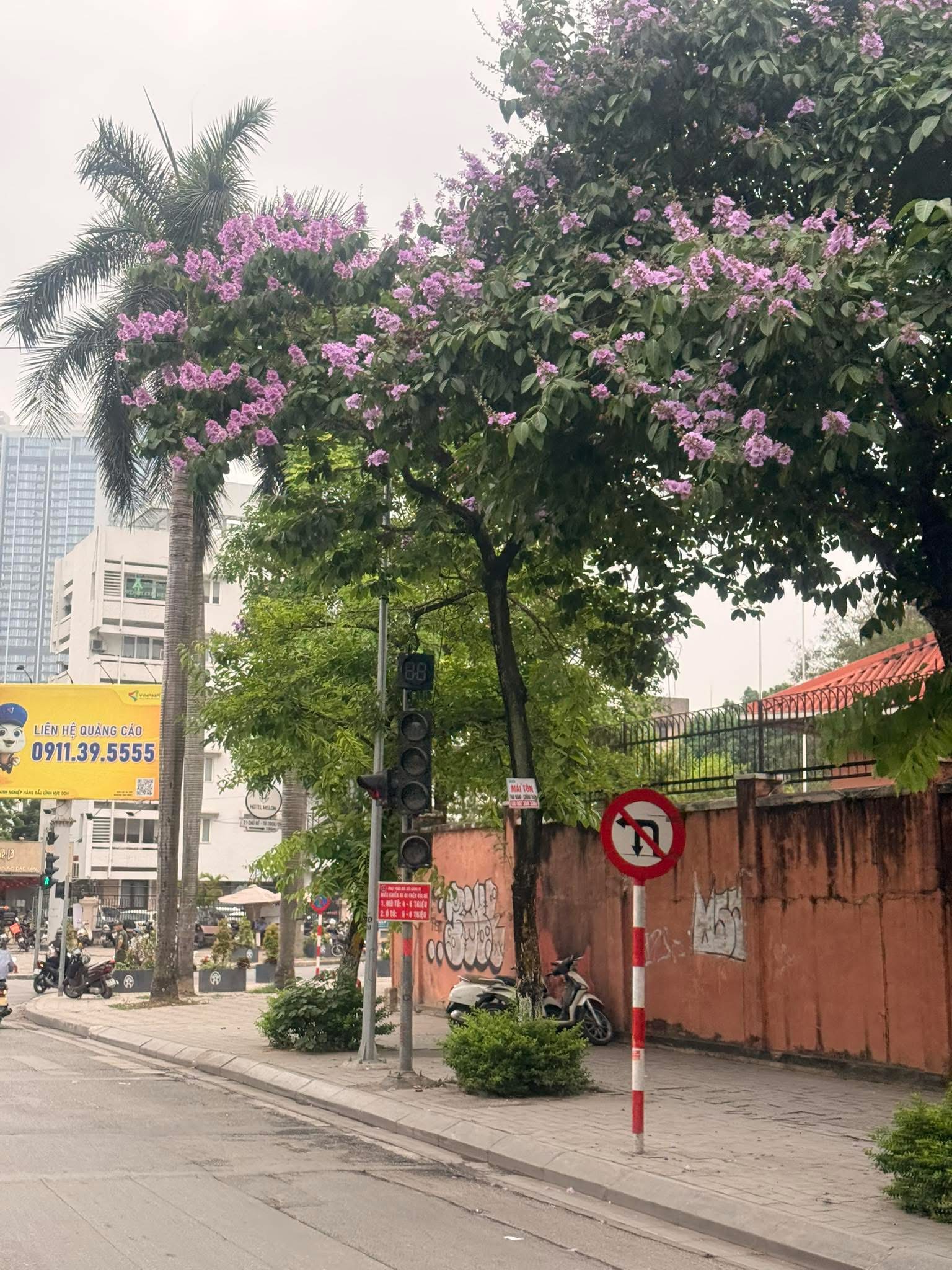 Khi cái mét vuông mà bạn vừa bán đi hôm qua, ngày mai đã có thể trở thành một gia sản mà cả đời người lao động cũng không bao giờ chạm tới được lần thứ hai - 1