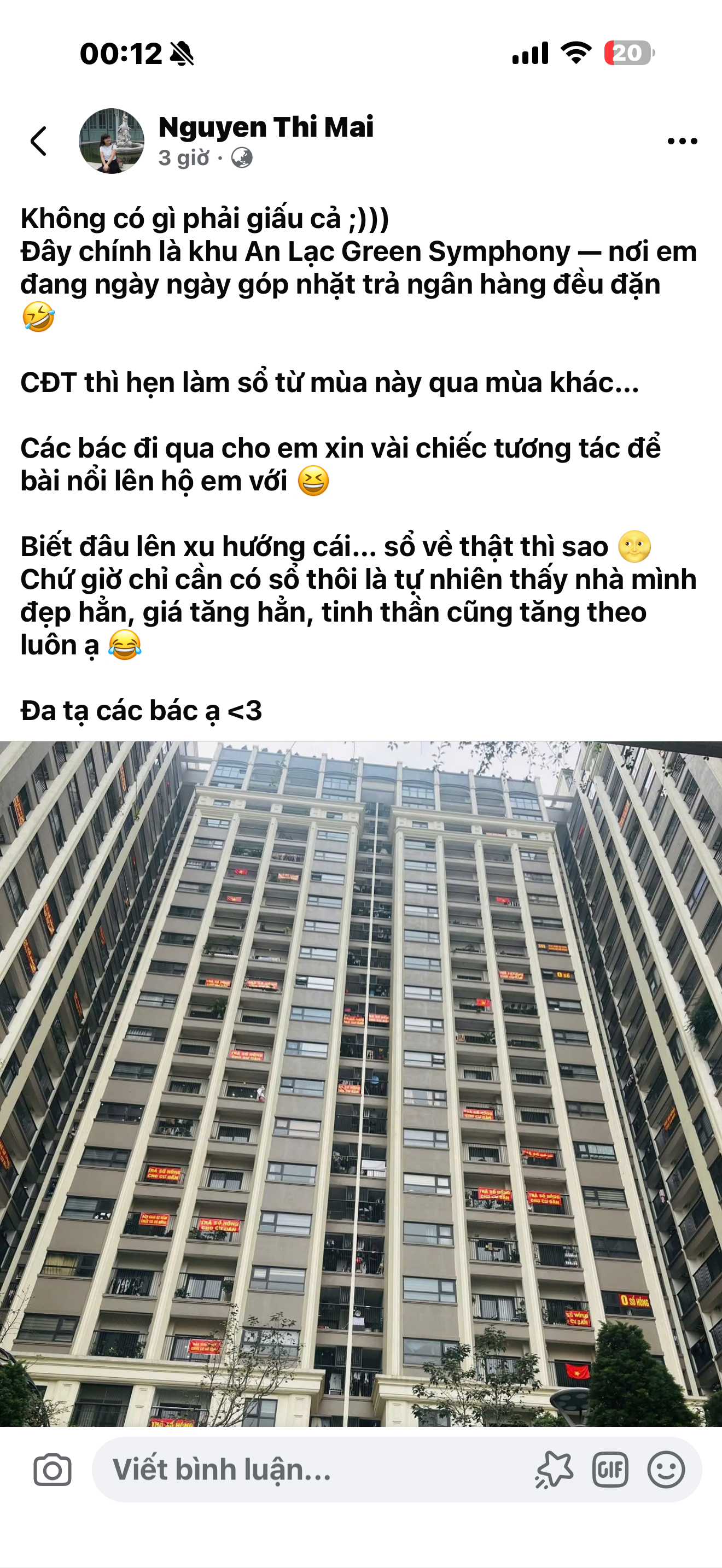 An Lạc Green Symphony lại “rực rỡ cờ hoa”: Dân mòn mỏi đợi sổ - 1