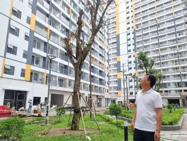 Giấc mơ an cư có nên rẽ sang nội đô? - 1