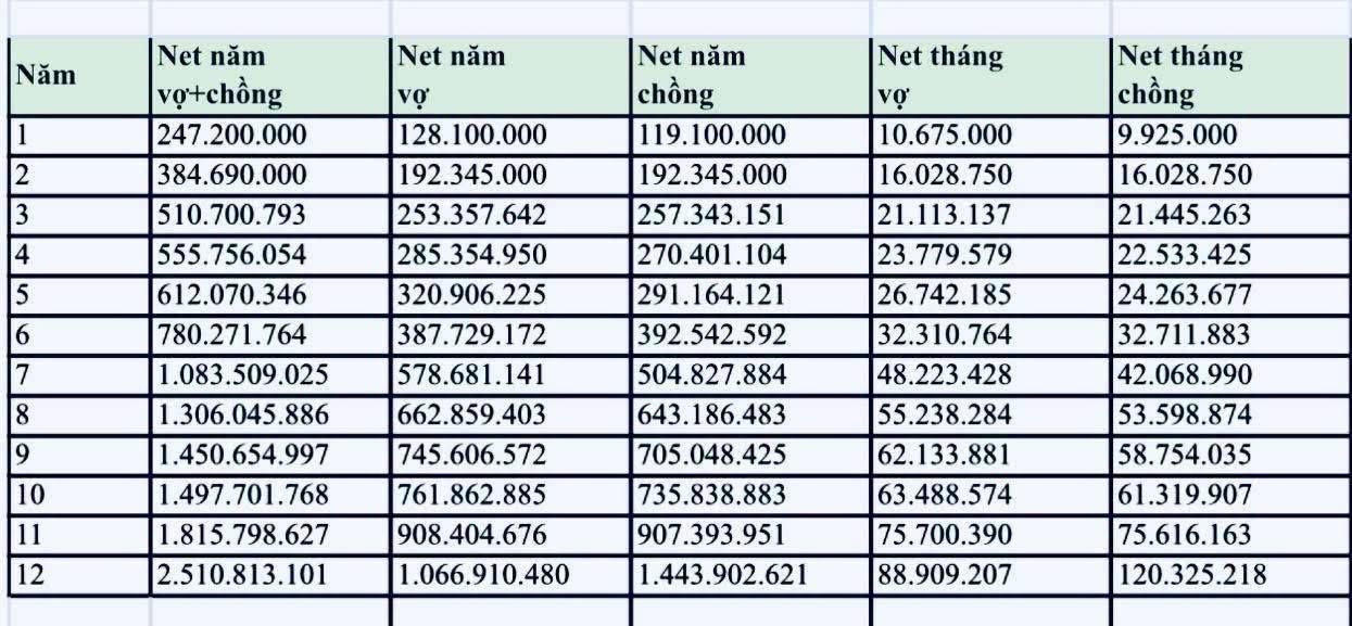 Lộ trình 12 năm từ lương 9 triệu lên tài sản 8 tỷ: Làm thuê bao lâu mới kiếm được 1 tỷ/năm để còn mua nhà như họ? - 1