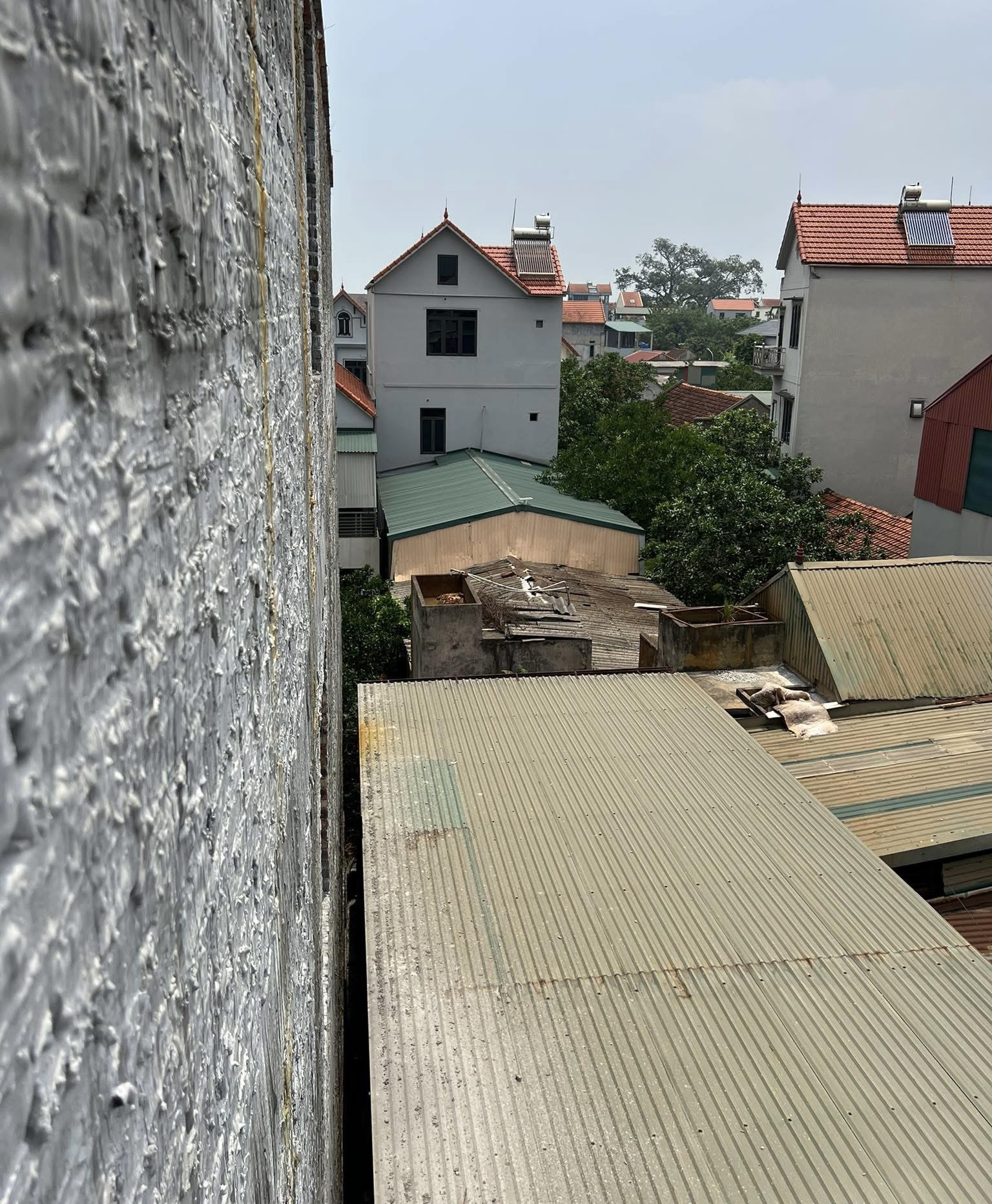 Xây nhà giáp ranh cạnh nhà có mái tôn thôi thì phải cố gắng “đi nhẹ, nói khẽ, cười duyên” nhất có thể với hàng xóm - 1