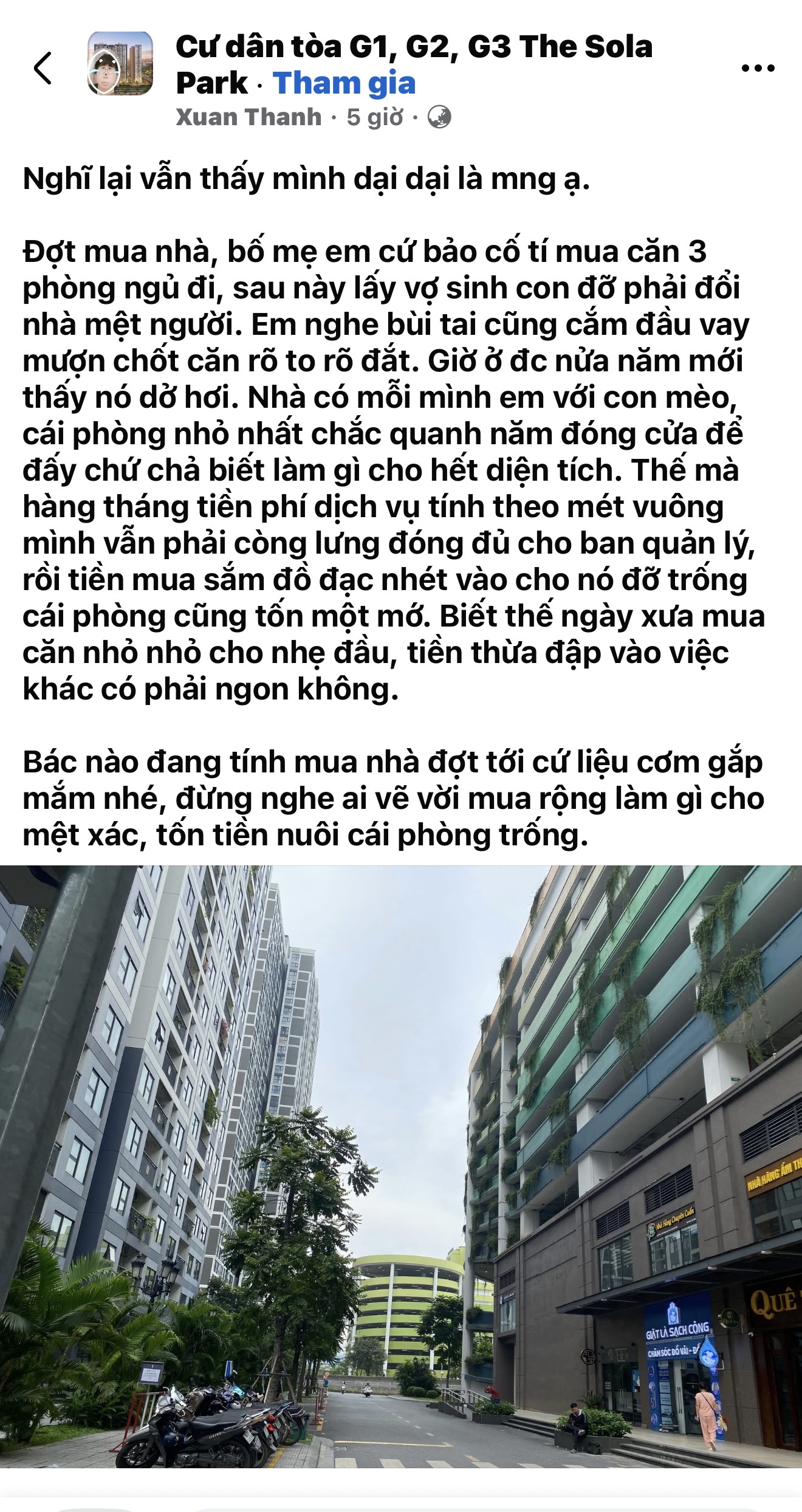 Ở một mình nuôi thêm con mèo nhưng "cố" mua căn 3 ngủ và cái kết đắng lòng - 1