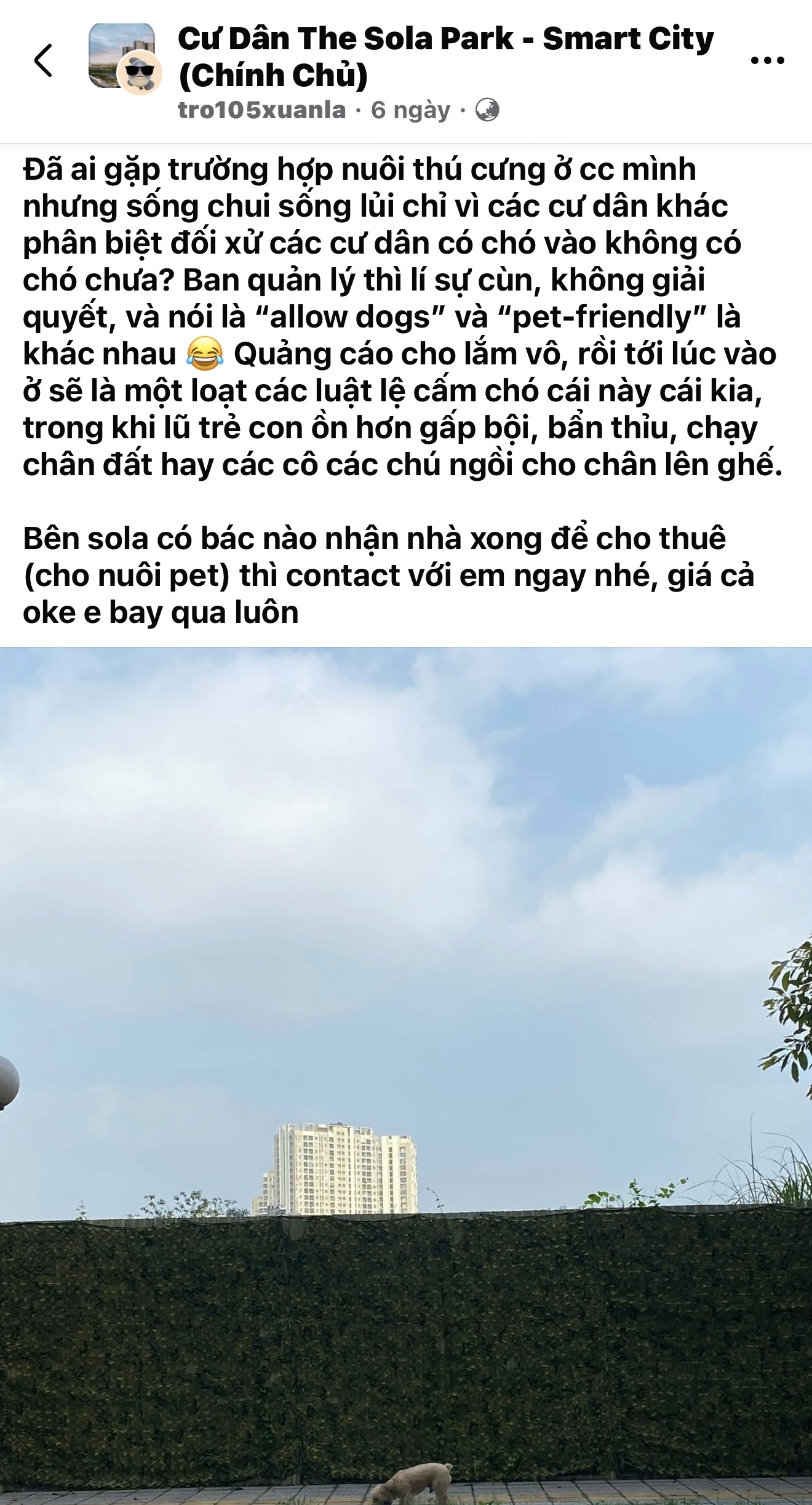 Nuôi thú cưng ở chung cư là một hành trình lắm gian nan - 1