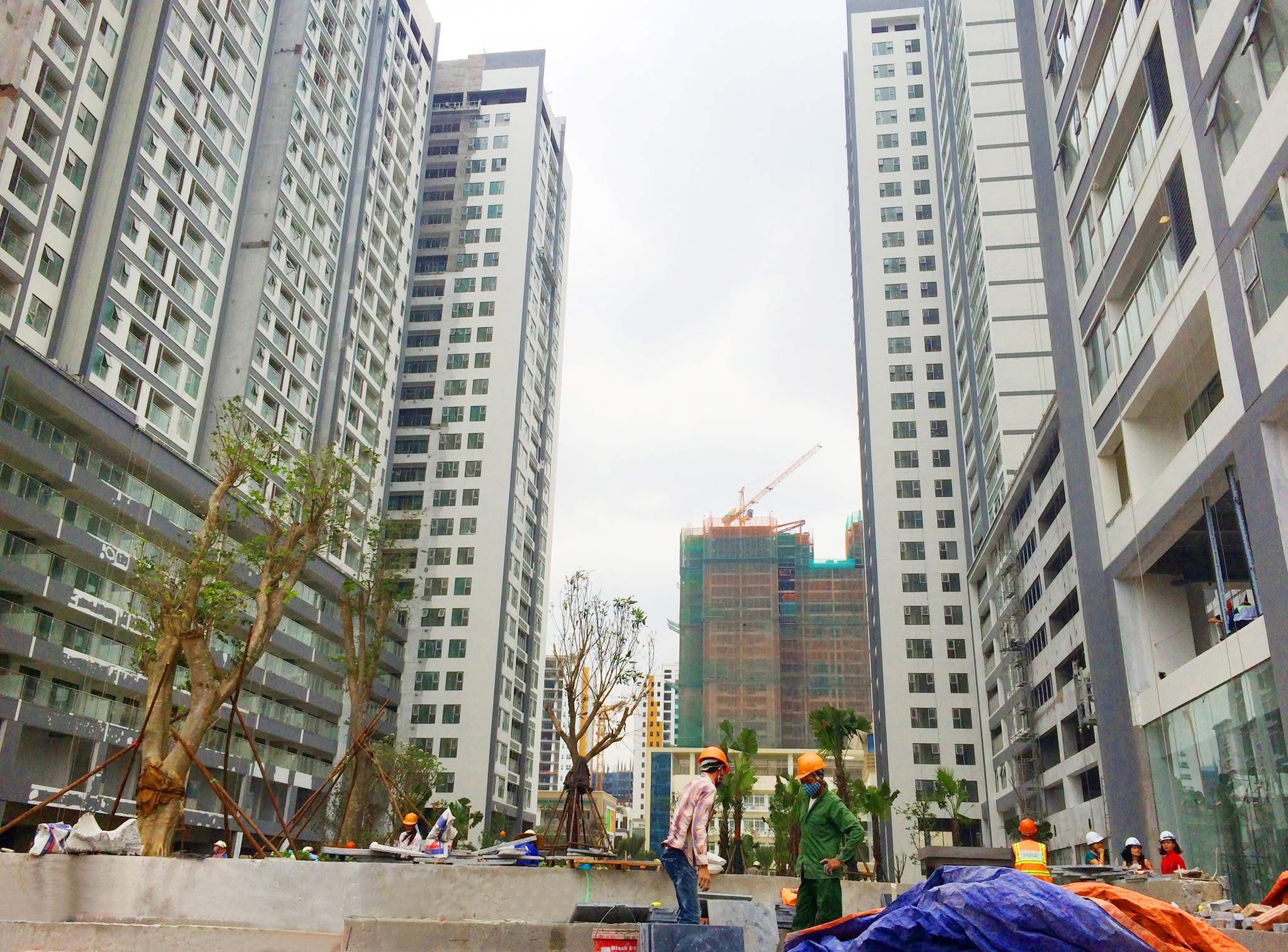 Mầm đá là món ăn trong truyền thuyết, nhưng "căn hộ giá bình dân" ở Hà Nội bây giờ mới chính là món quà của trí tưởng tượng - 1