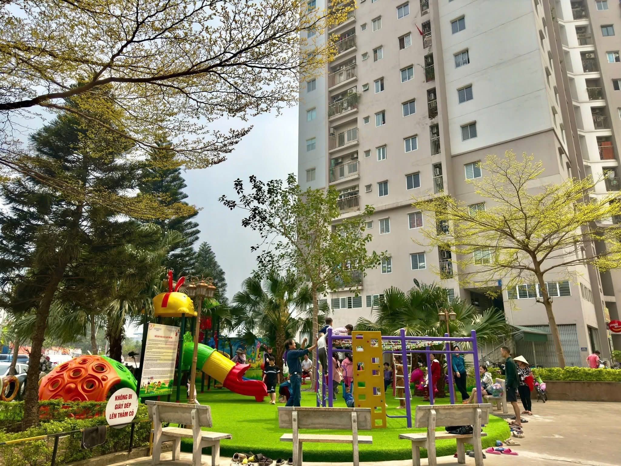 Giấc mơ an cư và sự thật sau khi dọn vào chung cư! - 1