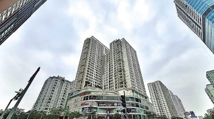 Chung cư trung cấp – loài đang trên đà... tuyệt chủng - 1