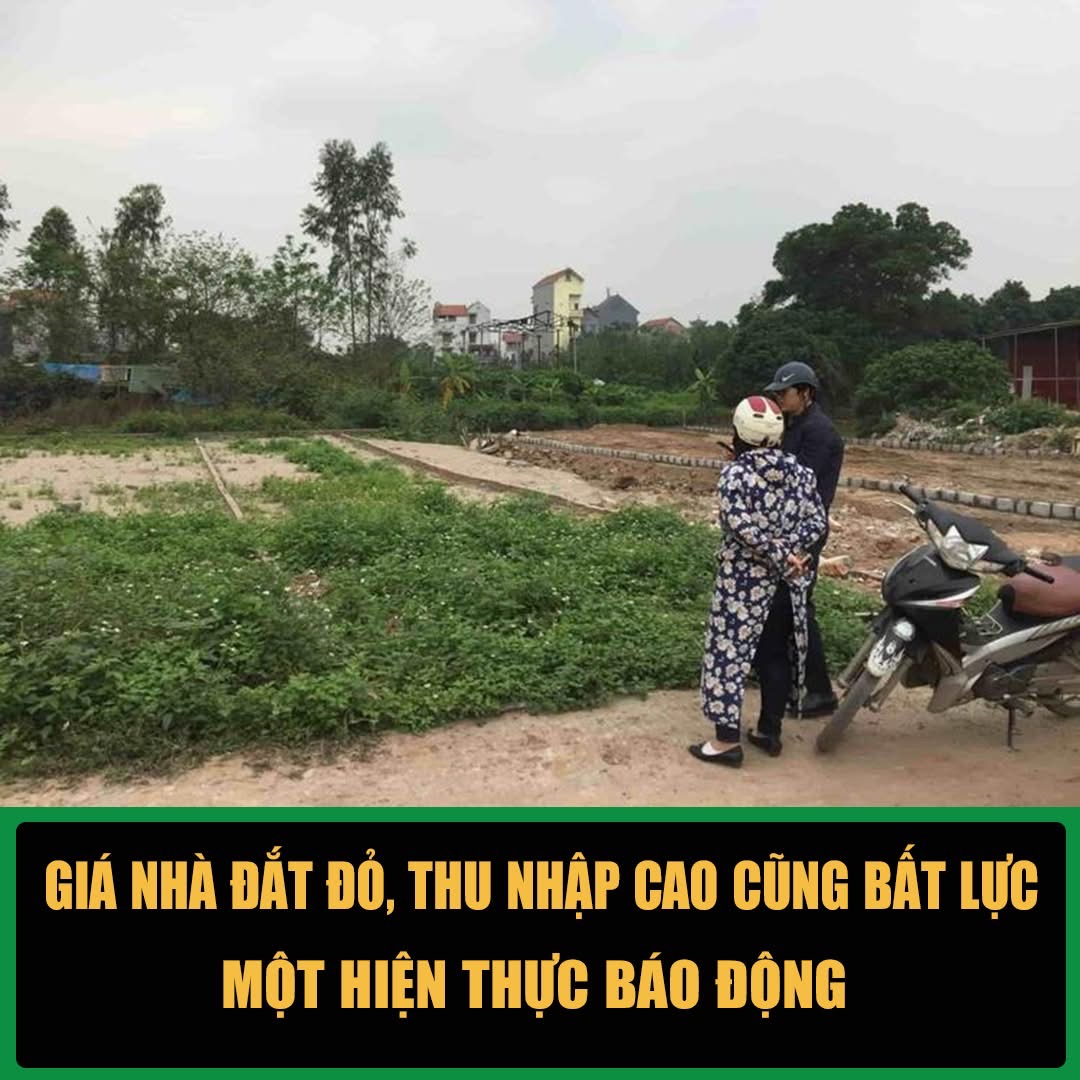 Giá nhà đắt đỏ, thu nhập cao cũng bất lực: Một hiện thực “đáng báo động” - 1