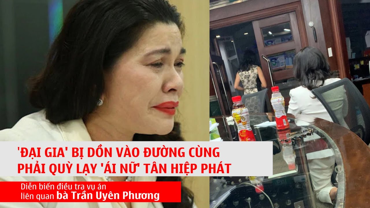 Nghĩ gì về cú quỳ lạy của Chủ tịch Tập đoàn Kim Oanh với con gái ông Trần Quý Thanh- Tân Hiệp Phát? - 1