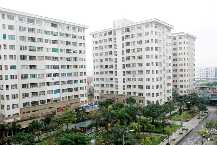 TP Hồ Chí Minh: Danh sách các dự án nhà ở sắp bị kiểm tra - 1