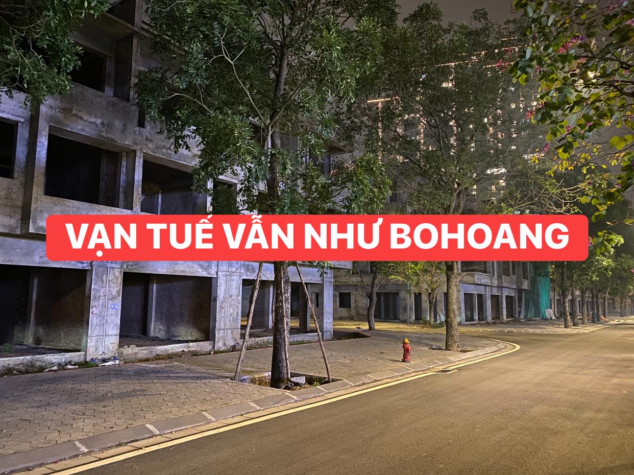 Sago Palm Garden: Chưa thấy nhiều người về ở hay hoàn thiện Chỉ vì 4 lý do sau.   - 1