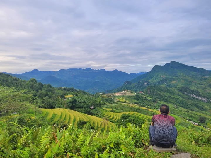 SÓNG BẤT ĐỘNG SẢN!  - 1