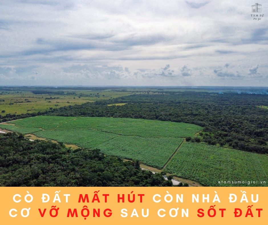 Sau cơn sốt đất, cò đất mất hút, nhà đầu cơ vỡ mộng! - 1