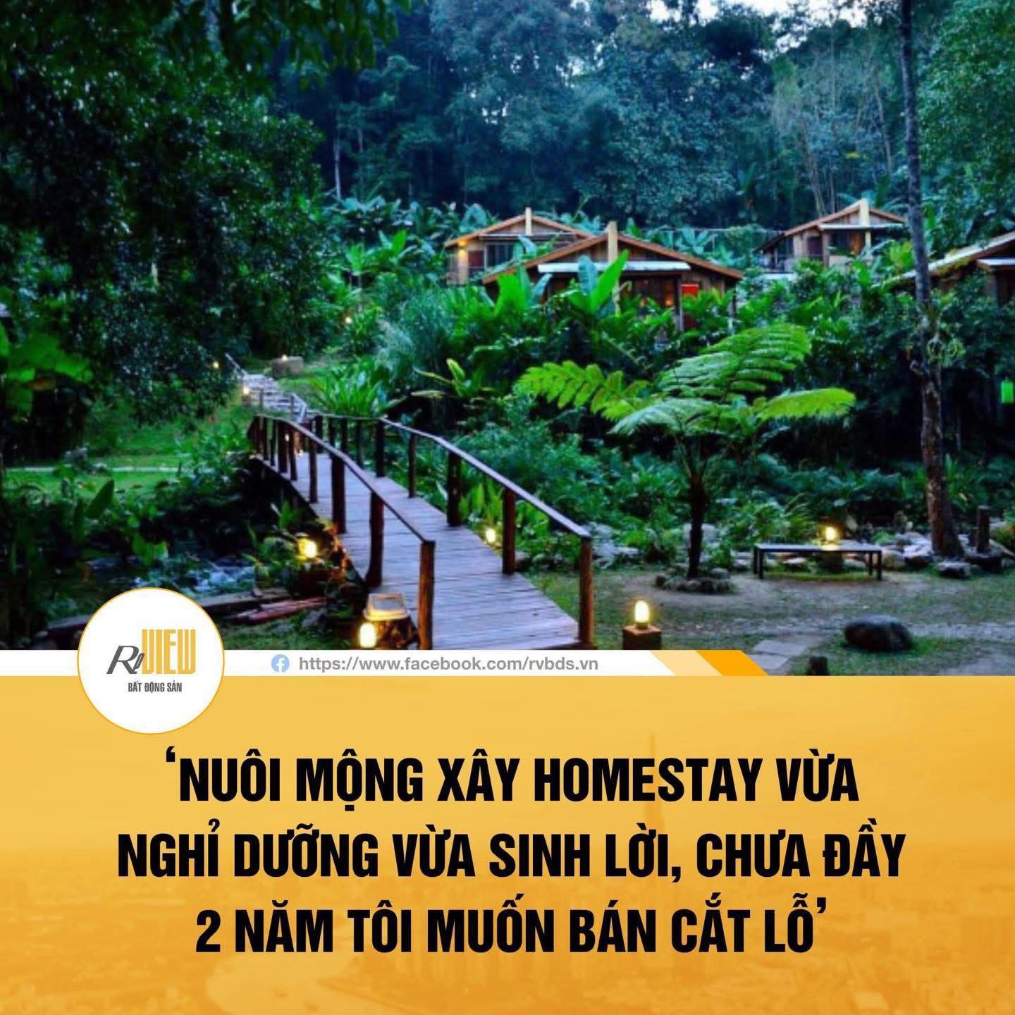 Thận trọng với ý tưởng: Mua đất, không bán lãi cao được ngay thì làm homestay cho thuê  - 1