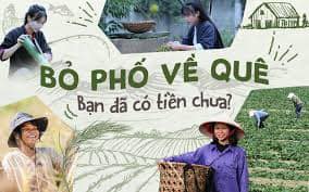 Bỏ phố về quê: bạn đã có tiền chưa? - 1