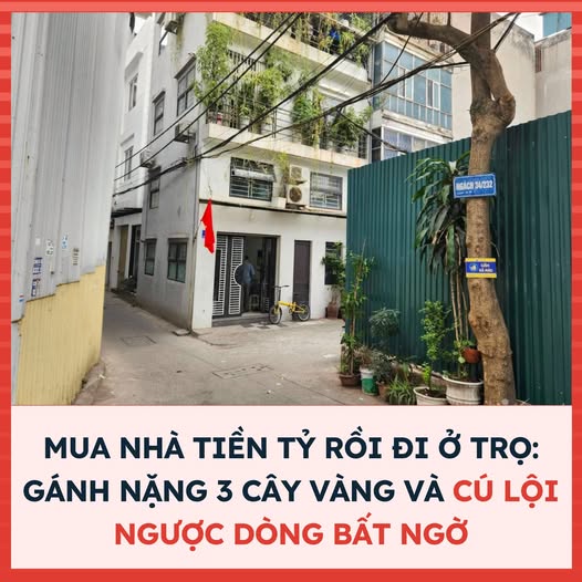 🏠 MUA NHÀ TIỀN TỶ RỒI ĐI Ở TRỌ: GÁNH NẶNG 3 CÂY VÀNG VÀ CÚ LỘI NGƯỢC DÒNG BẤT NGỜ 🏠  - 1