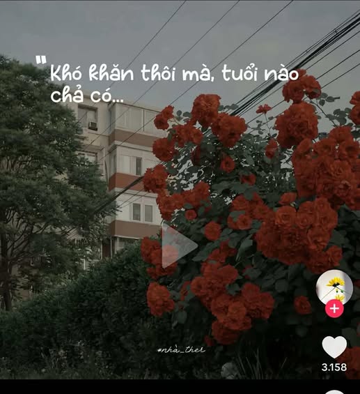 TỤI MÌNH QUYẾT ĐỊNH " BÁN NHÀ " RỒI !!!  - 1