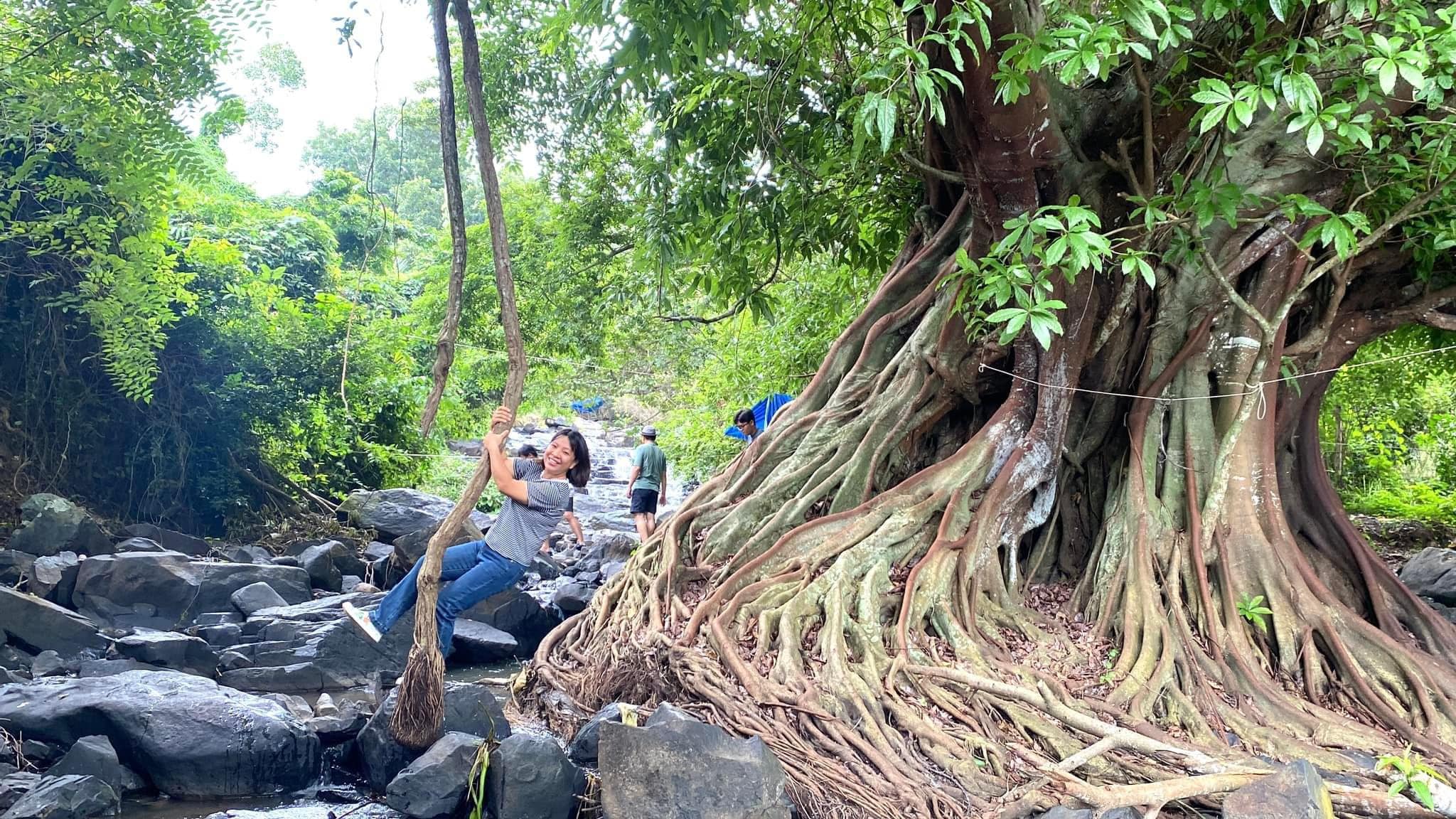 Phần II: Góc sẻ “Trải nghiệm” khai thác và vận hành mô hình Homestay  -  sau khi đu trend bỏ phố về vườn.   - 1