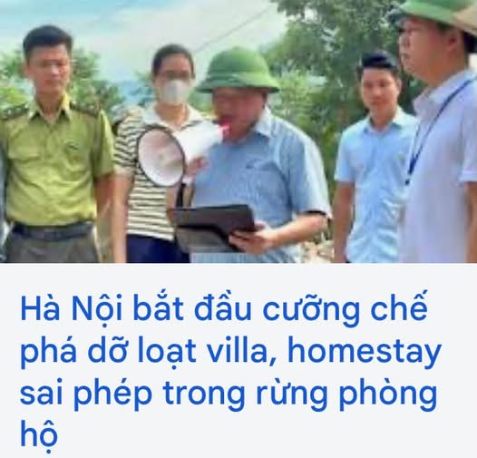 Lại chuyện bỏ phố về quê mở homestay  - 1