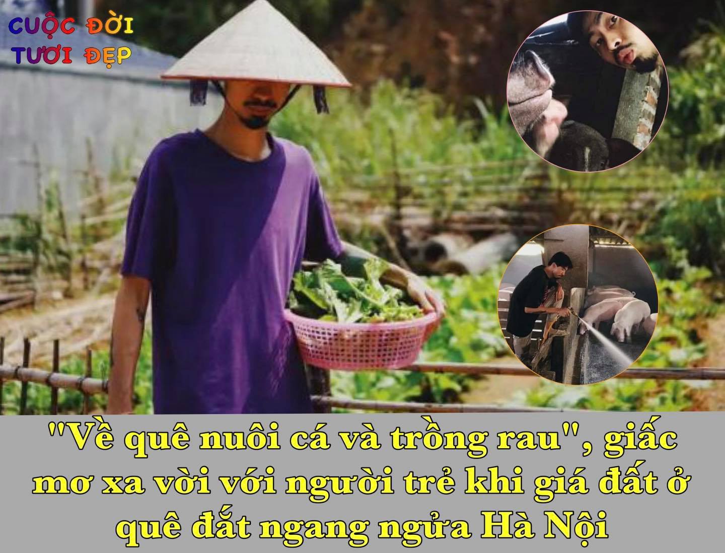 Bỏ phố về quê nuôi cá và trồng thêm rau có dễ như lời Rap của Đen Vâu? - 1